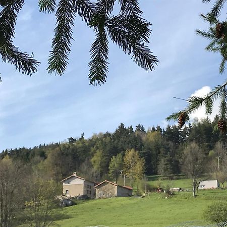 La Source D'En Haut Valcivieres Exterior photo